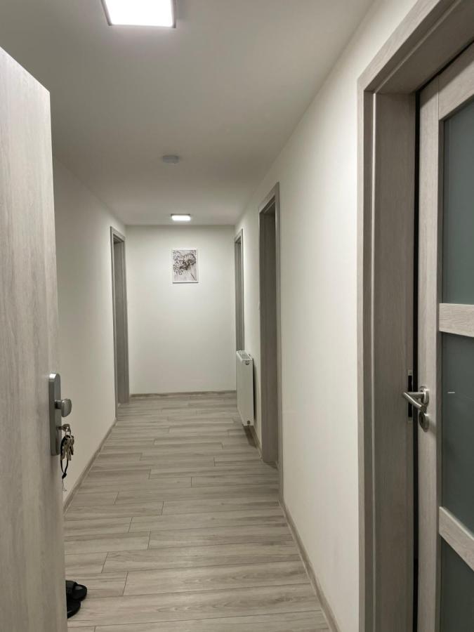 Apartament Cheb Bagian luar foto